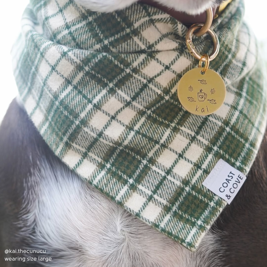 Winter Pine Plaid Flannel Bandana