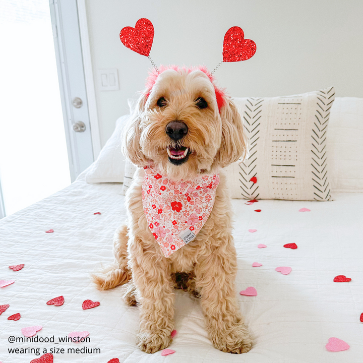 Romantic Floral Bandana