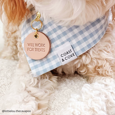 Leather Stamped Pet Tag
