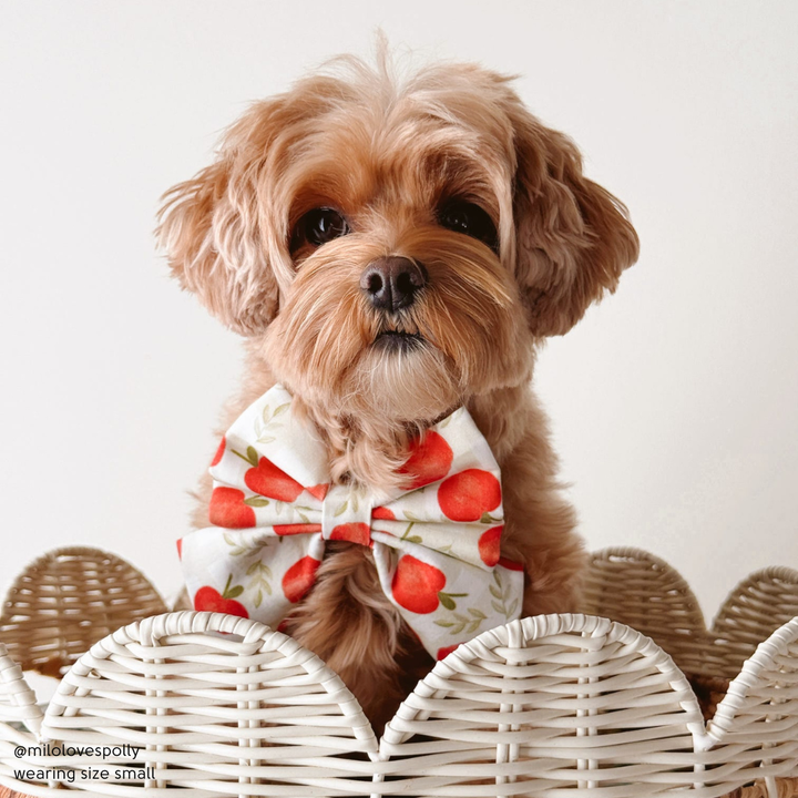 Apple Picking Sailor Bow