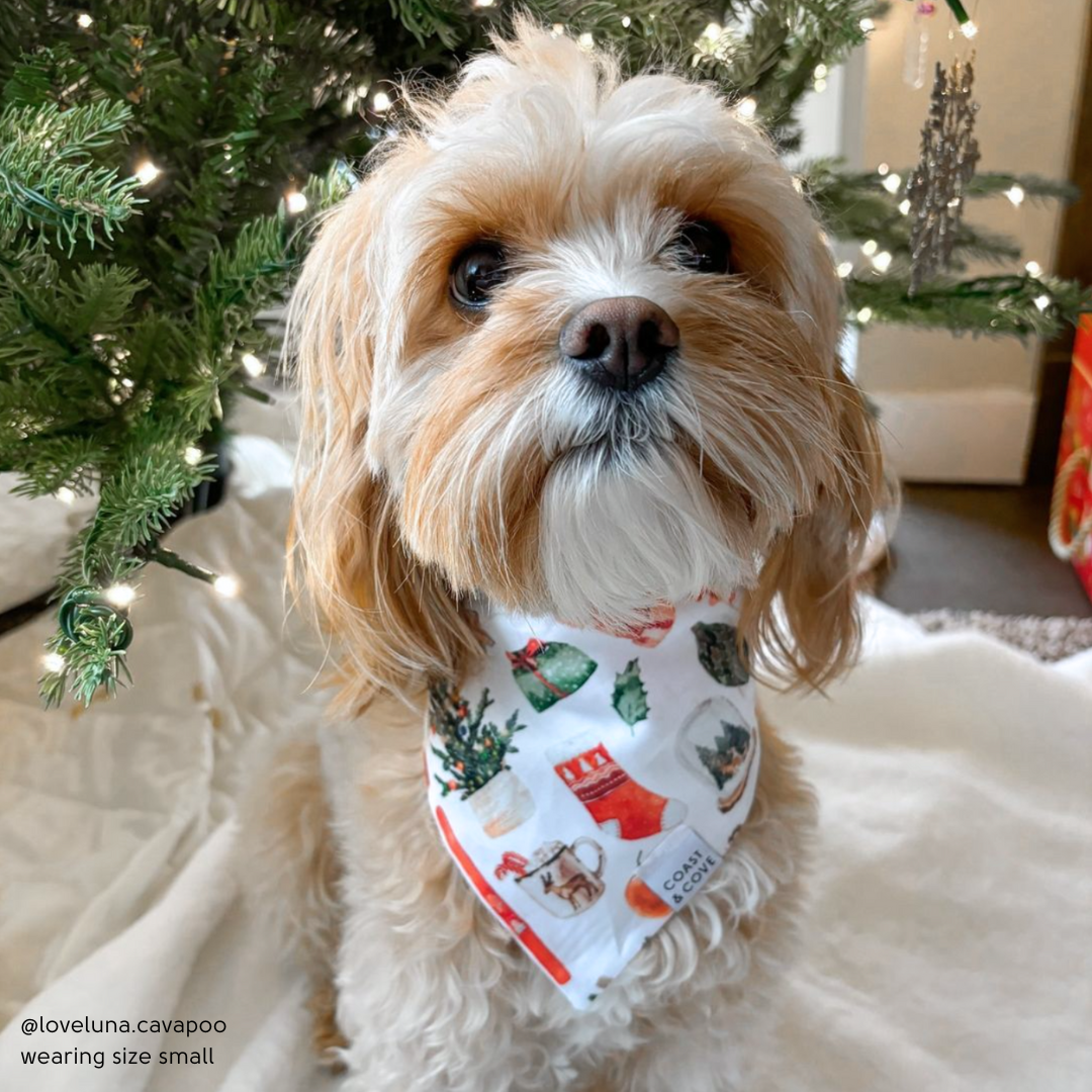 Cozy Christmas Bandana