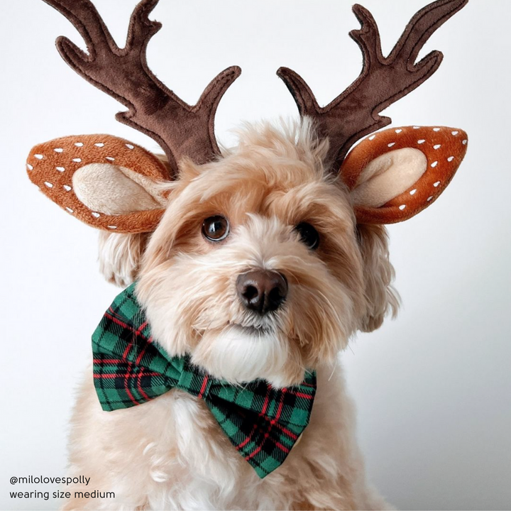 Yuletide Plaid Bow Tie