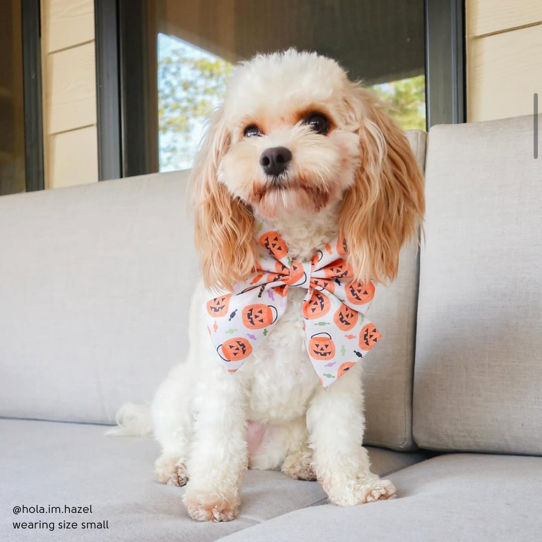 Trick-or-Treat Sailor Bow