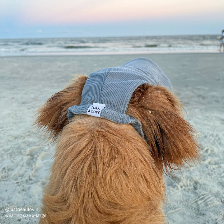 Baseball Hat for Dogs