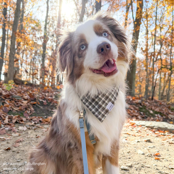 Fireside Plaid Flannel Bandana
