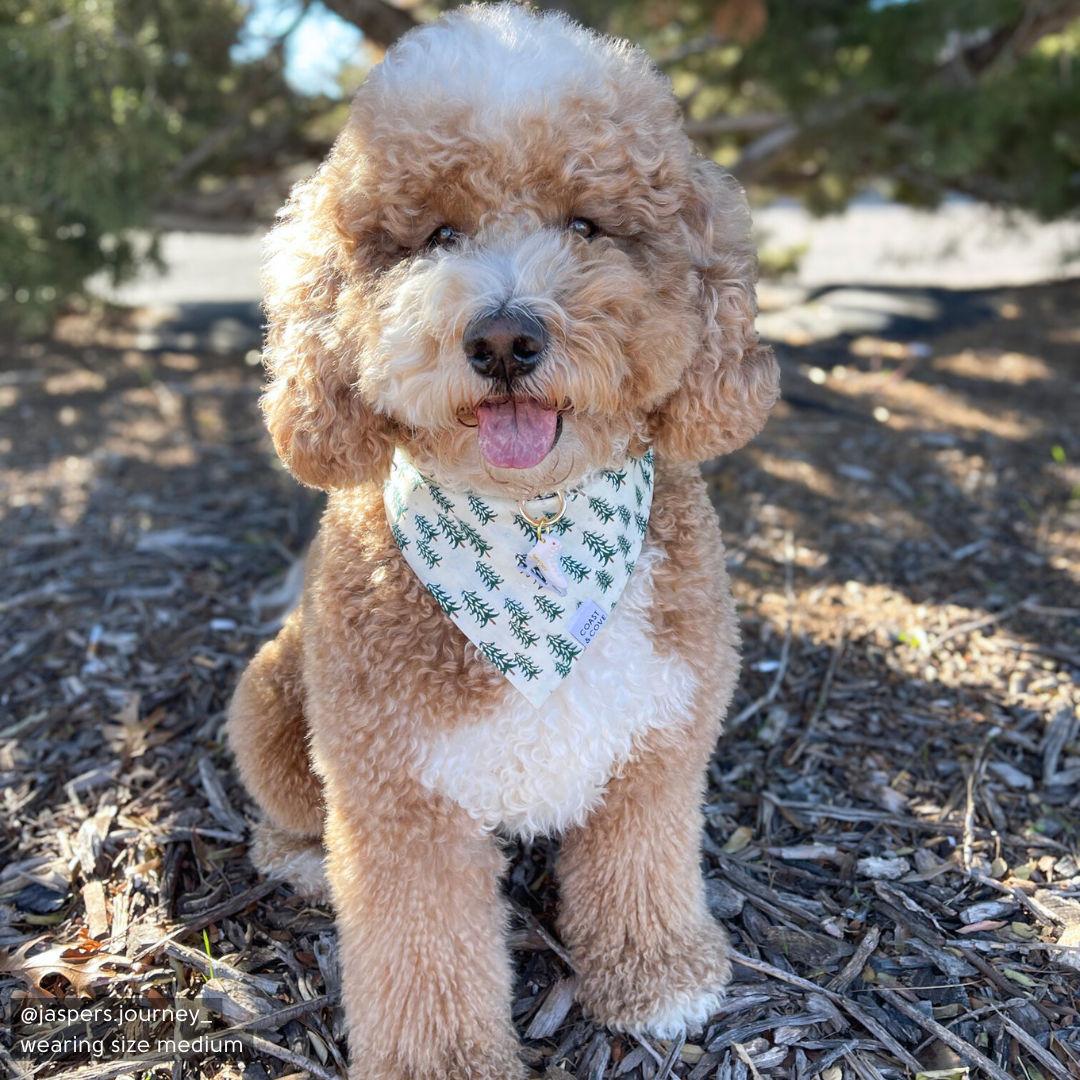 Frosted Forrest Bandana