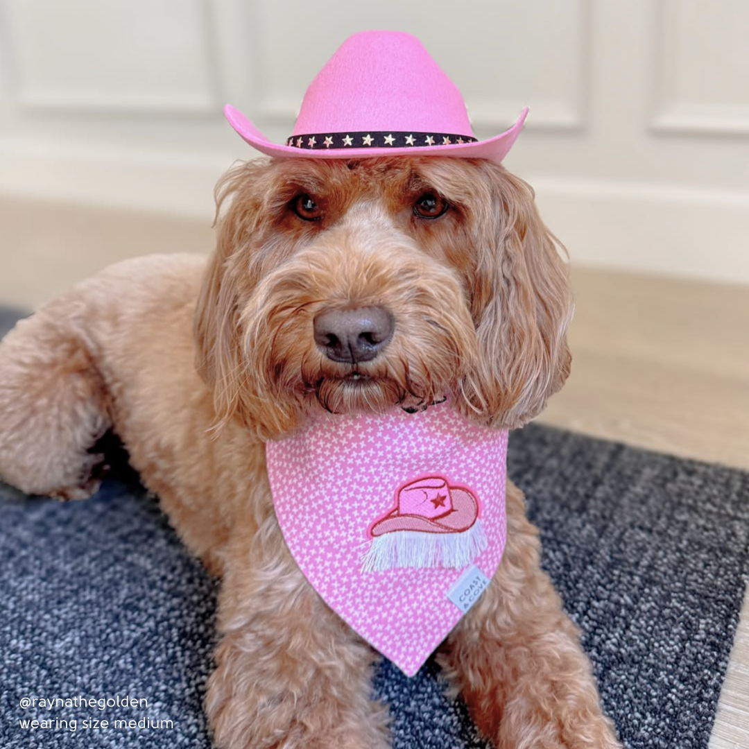 Let's Go Girls Bandana