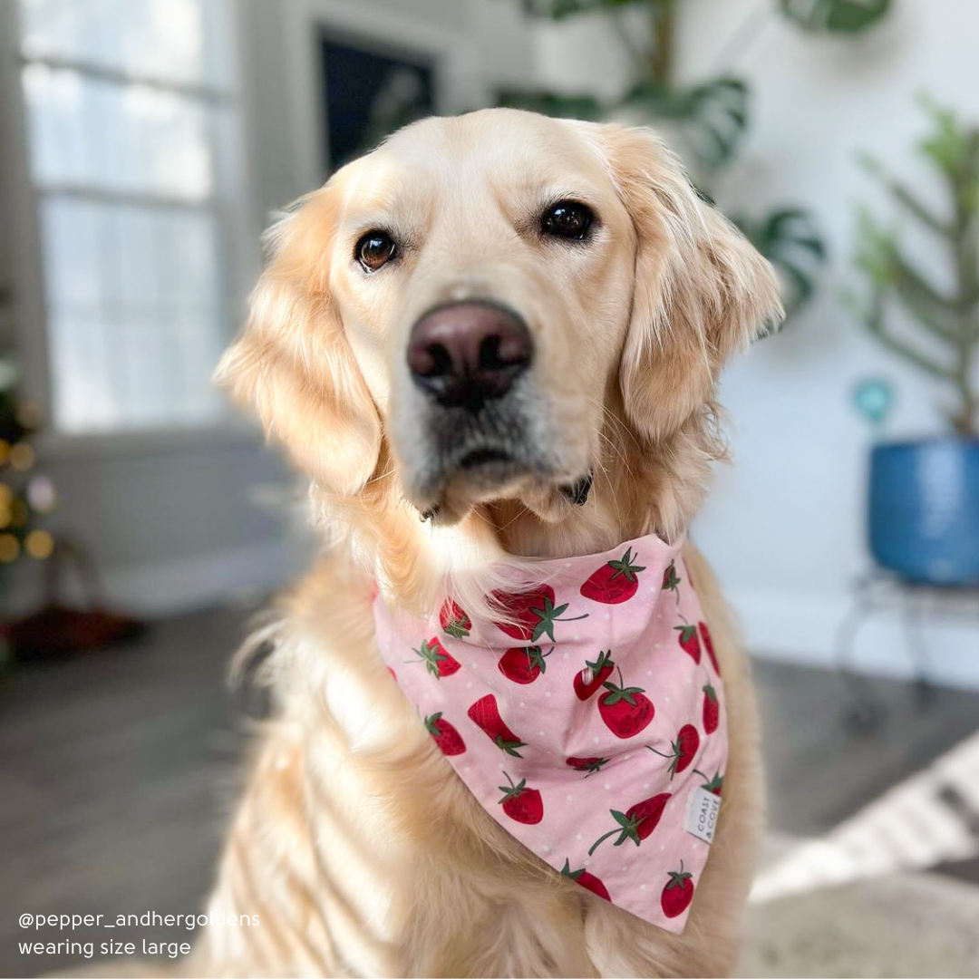 Strawberry Fields Bandana