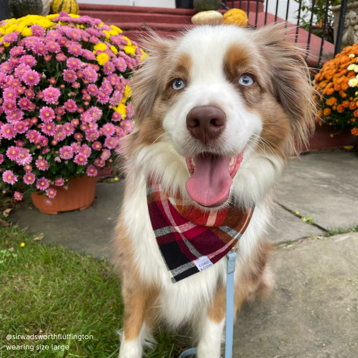 Cozy Cabin Plaid Flannel Bandana