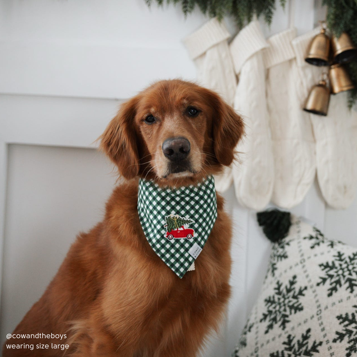Home for the Holidays Bandana