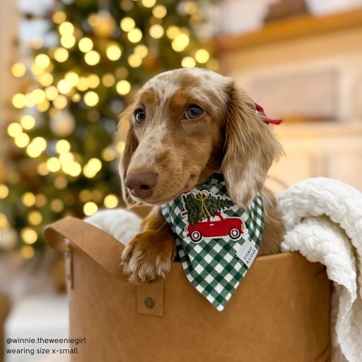 Home for the Holidays Bandana