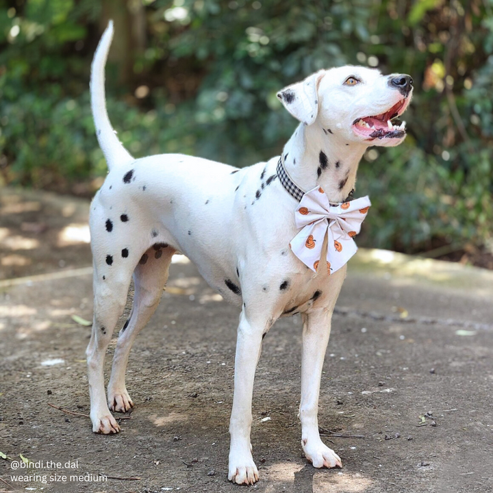 Happy Pumpkins Sailor Bow