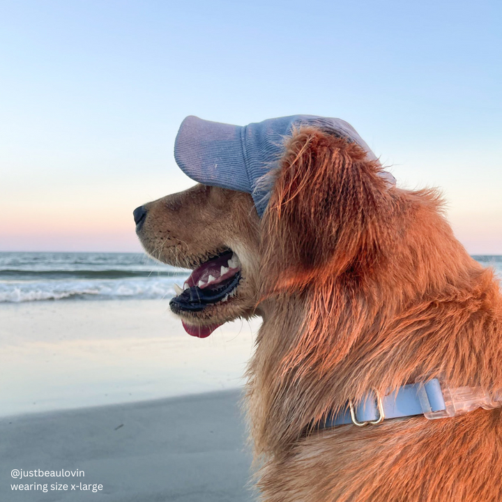 Baseball Hat for Dogs