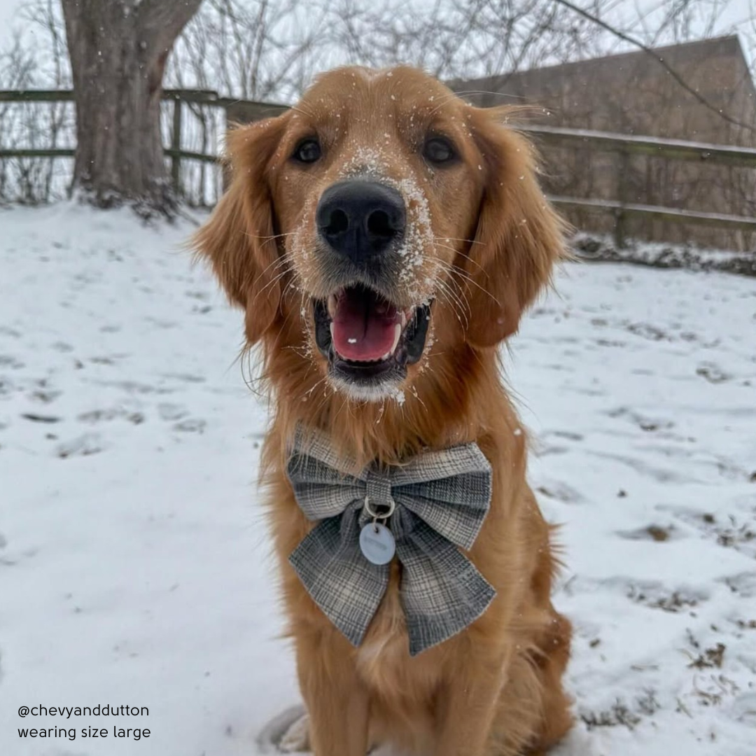Snowfall Plaid Flannel Sailor Bow
