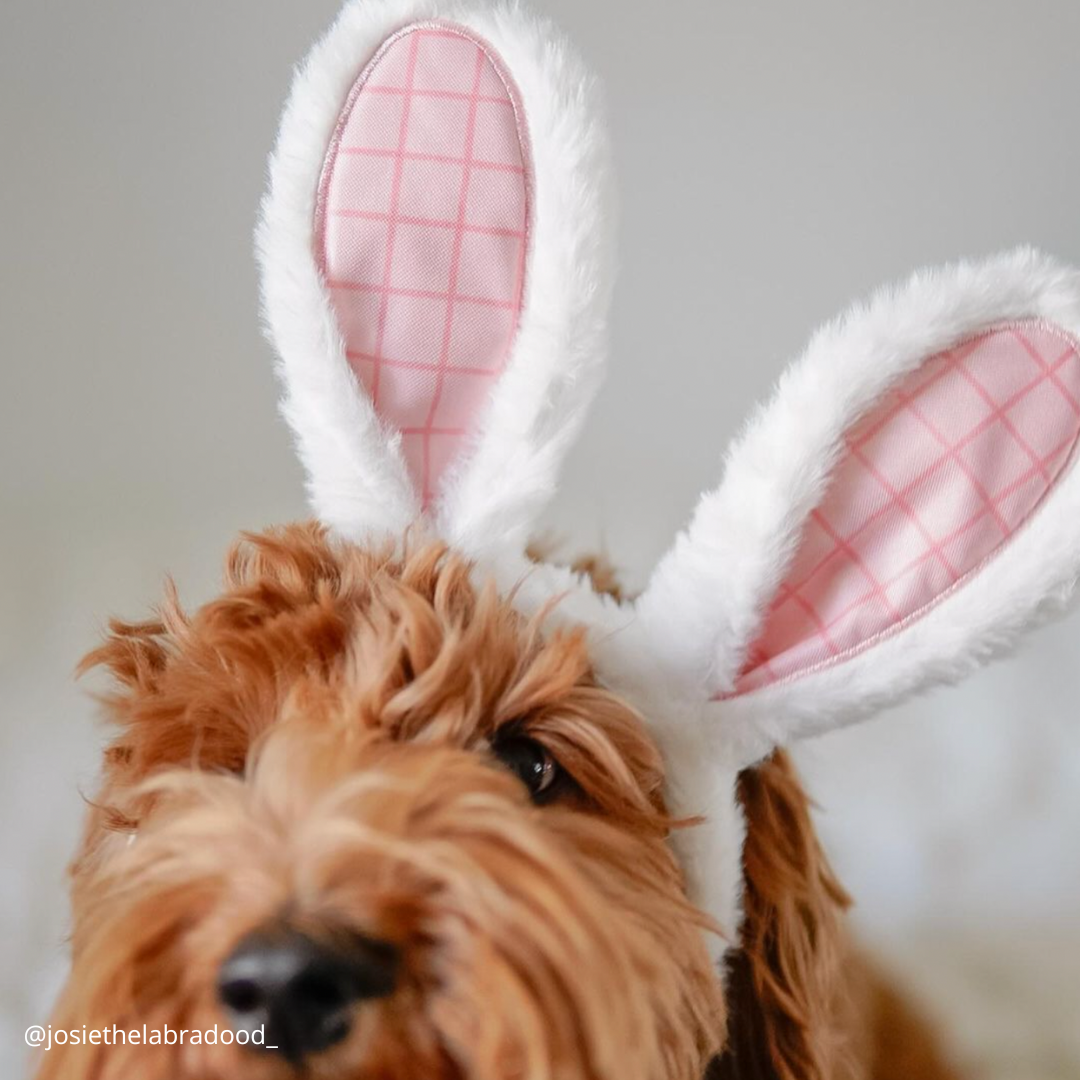 Bunny Ears Headband