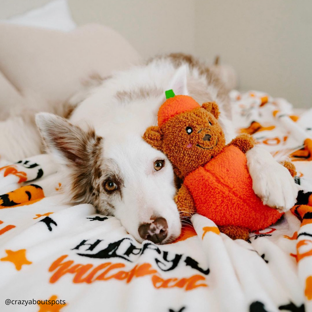 Halloween Pumpkin Bear Dog Toy