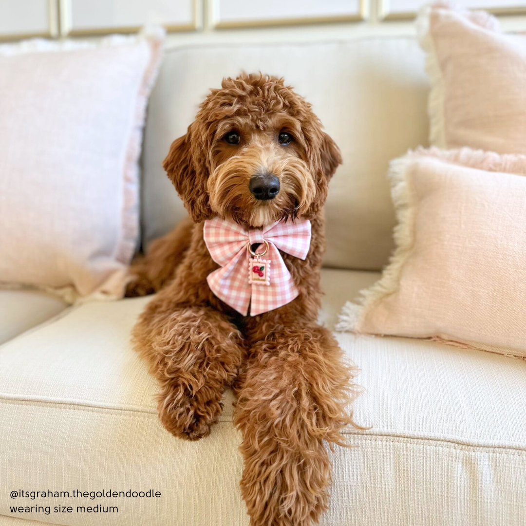 Pink Gingham Sailor Bow