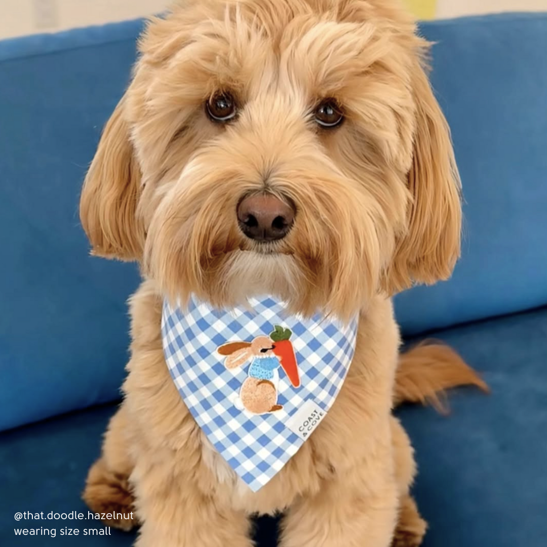Cottontail Bandana