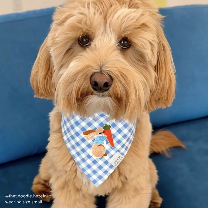Cottontail Bandana