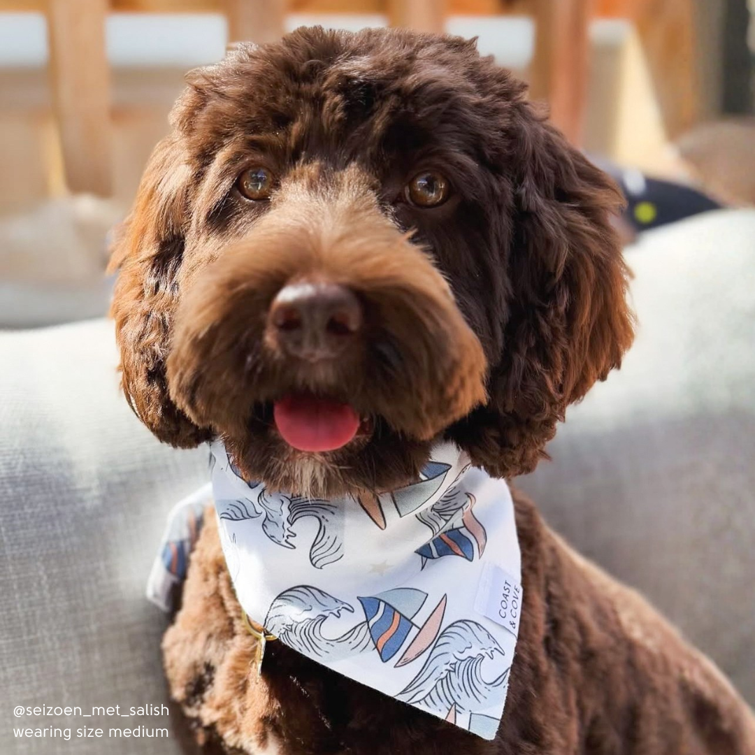 Sail Away Bandana