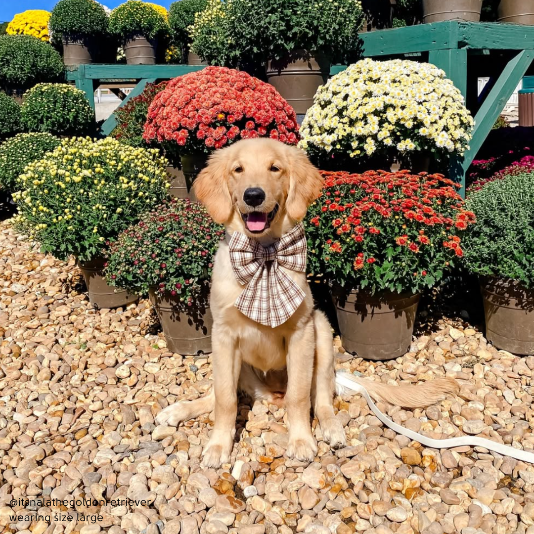 Woodland Plaid Flannel Sailor Bow