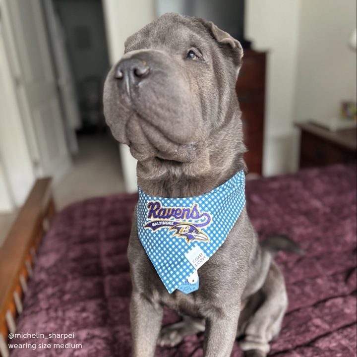 Your Team NFL Bandana [CUSTOM MADE TO ORDER]