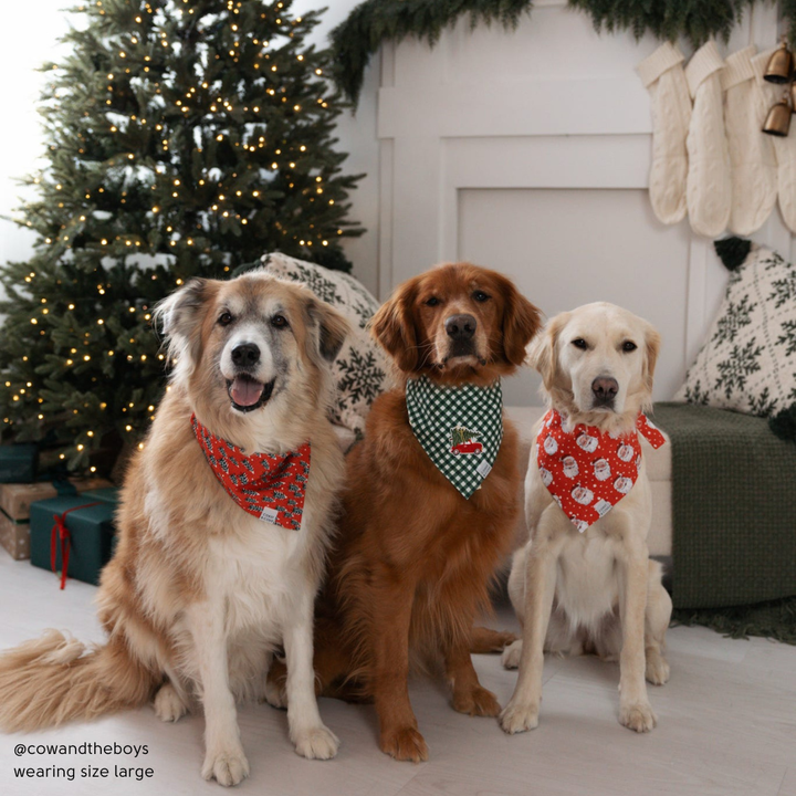 Holly Jolly St. Nick Bandana
