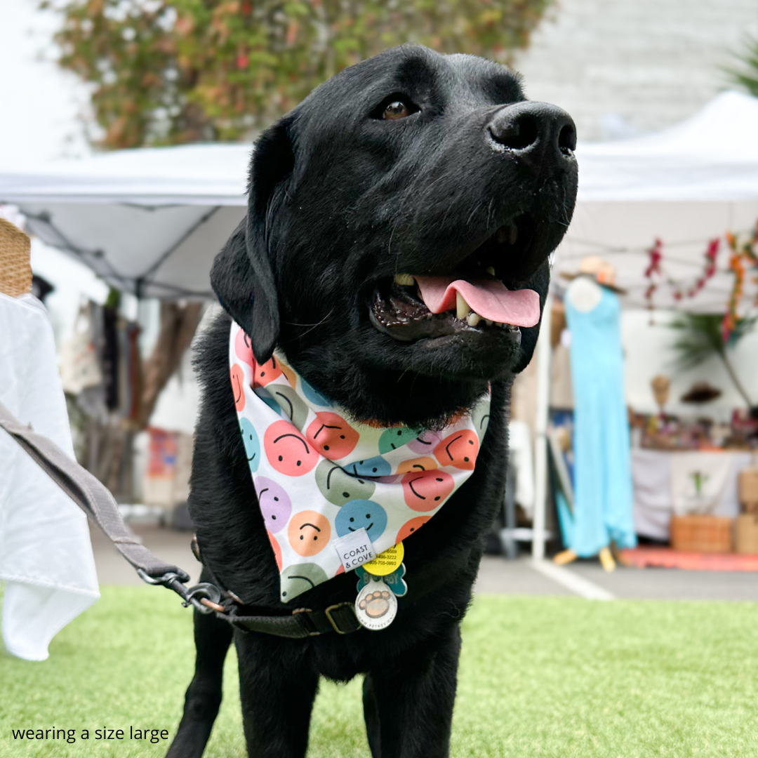 Rainbow Smiles Bandana