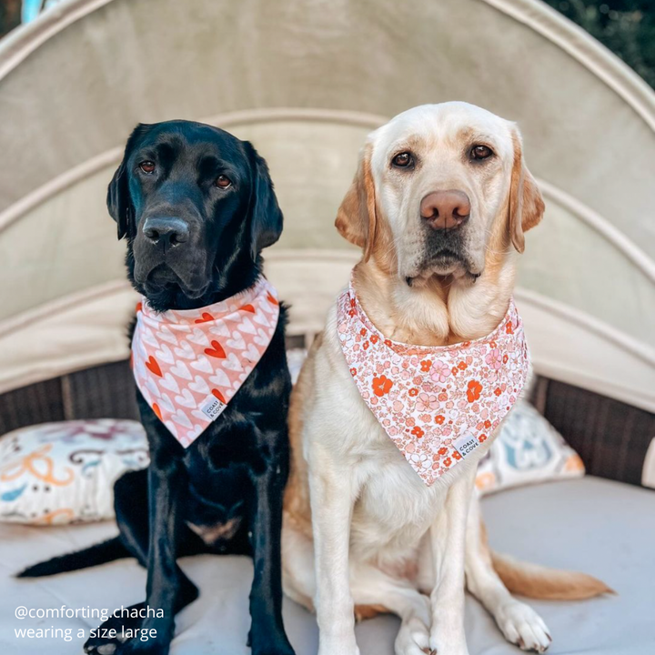 Romantic Floral Bandana