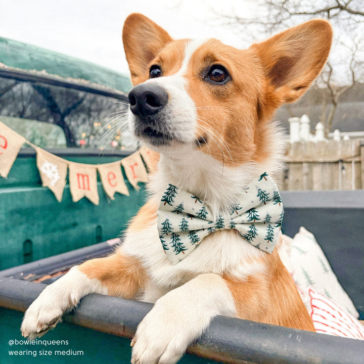 Frosted Forrest Bow Tie