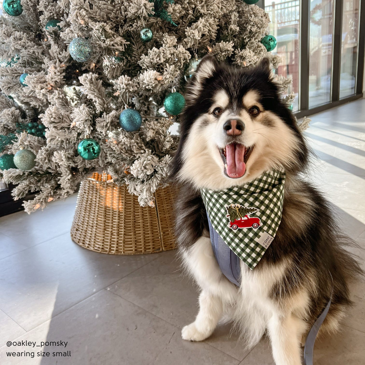 Home for the Holidays Bandana