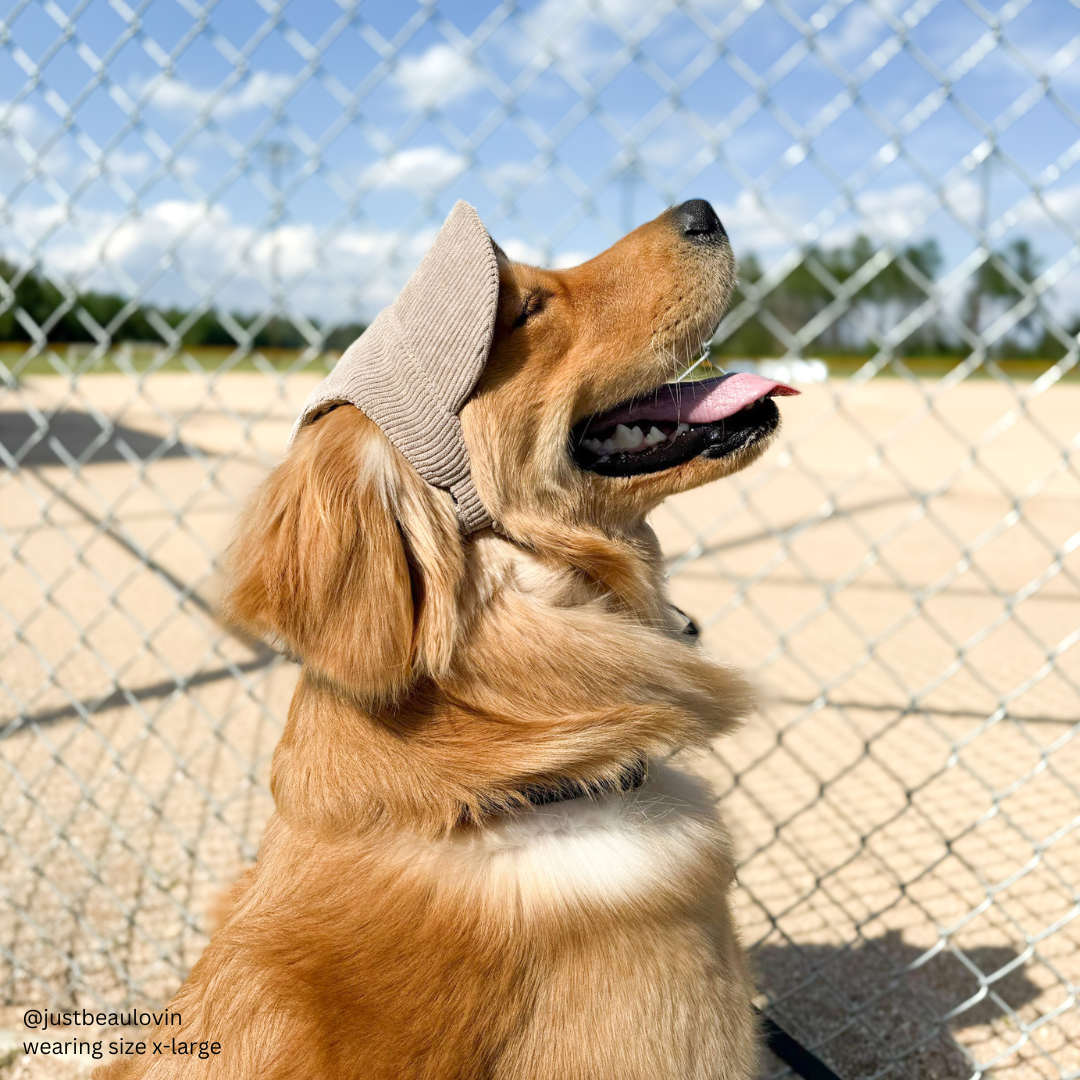 Baseball Hat for Dogs