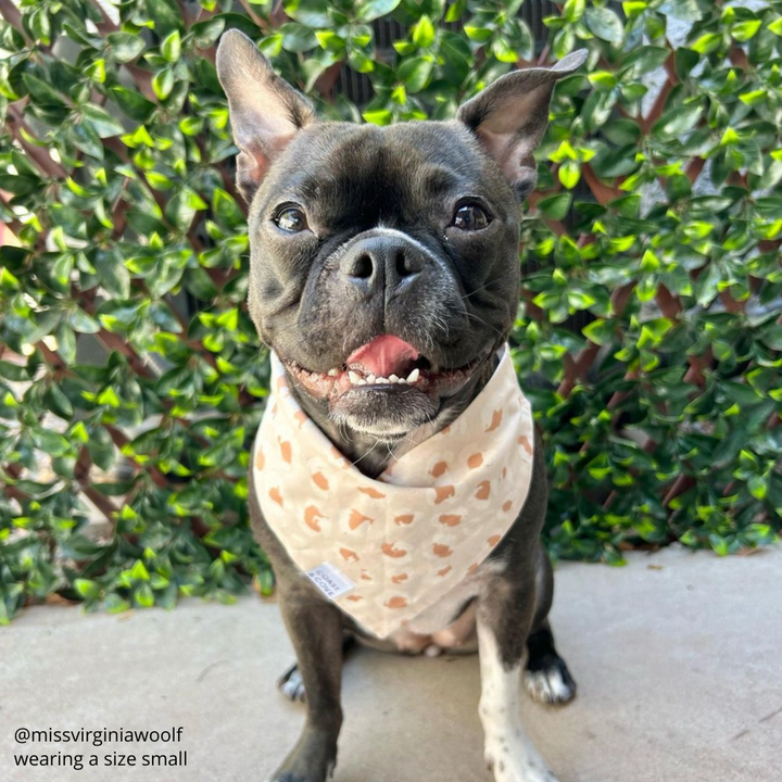 Wild Child Bandana