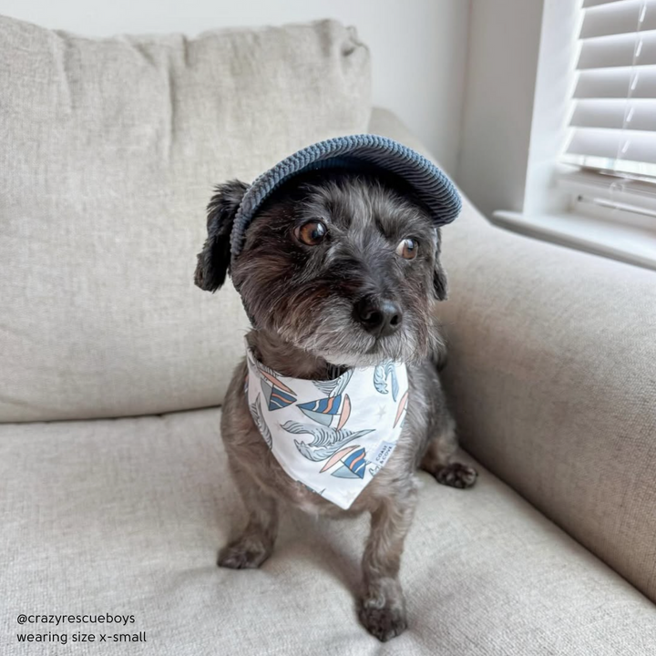 Sail Away Bandana