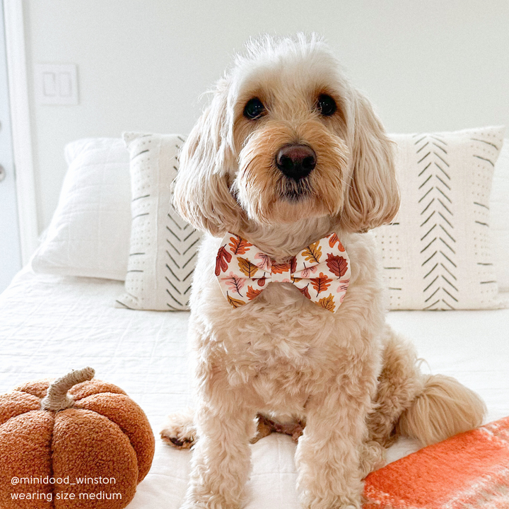 Falling Leaves Bow Tie