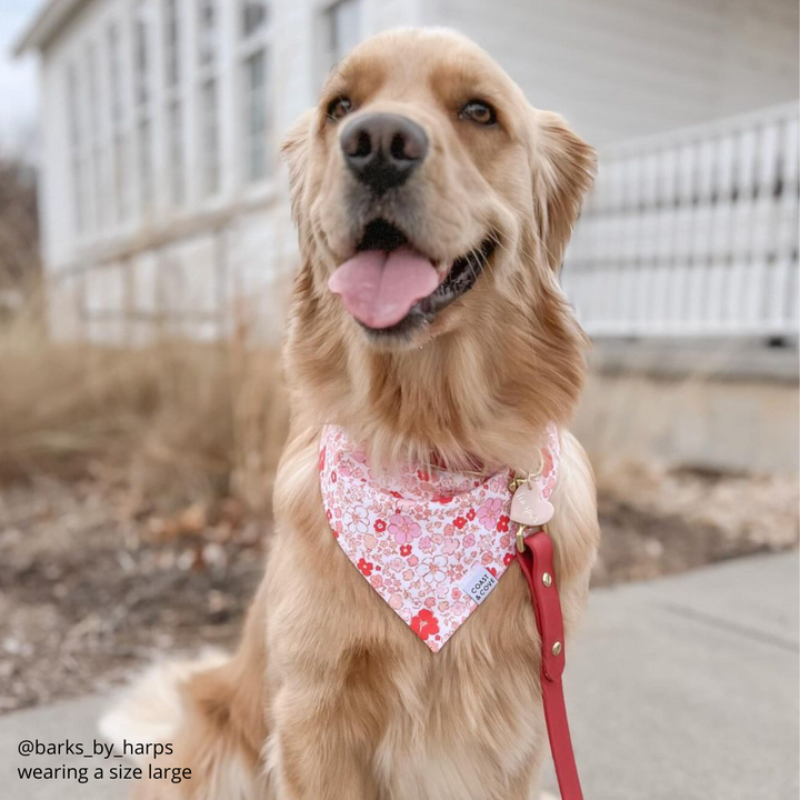 Romantic Floral Bandana