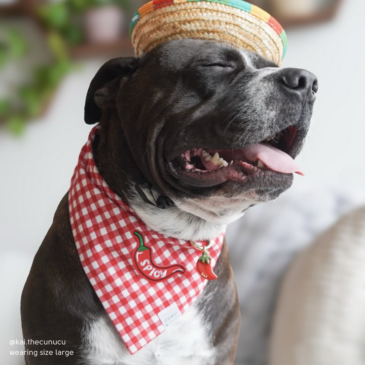 Spicy Bandana