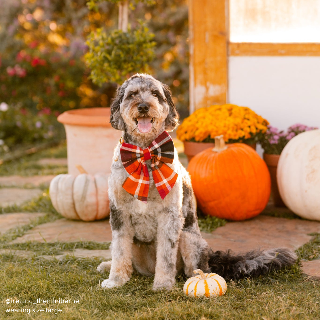 Cozy Cabin Plaid Flannel Sailor Bow
