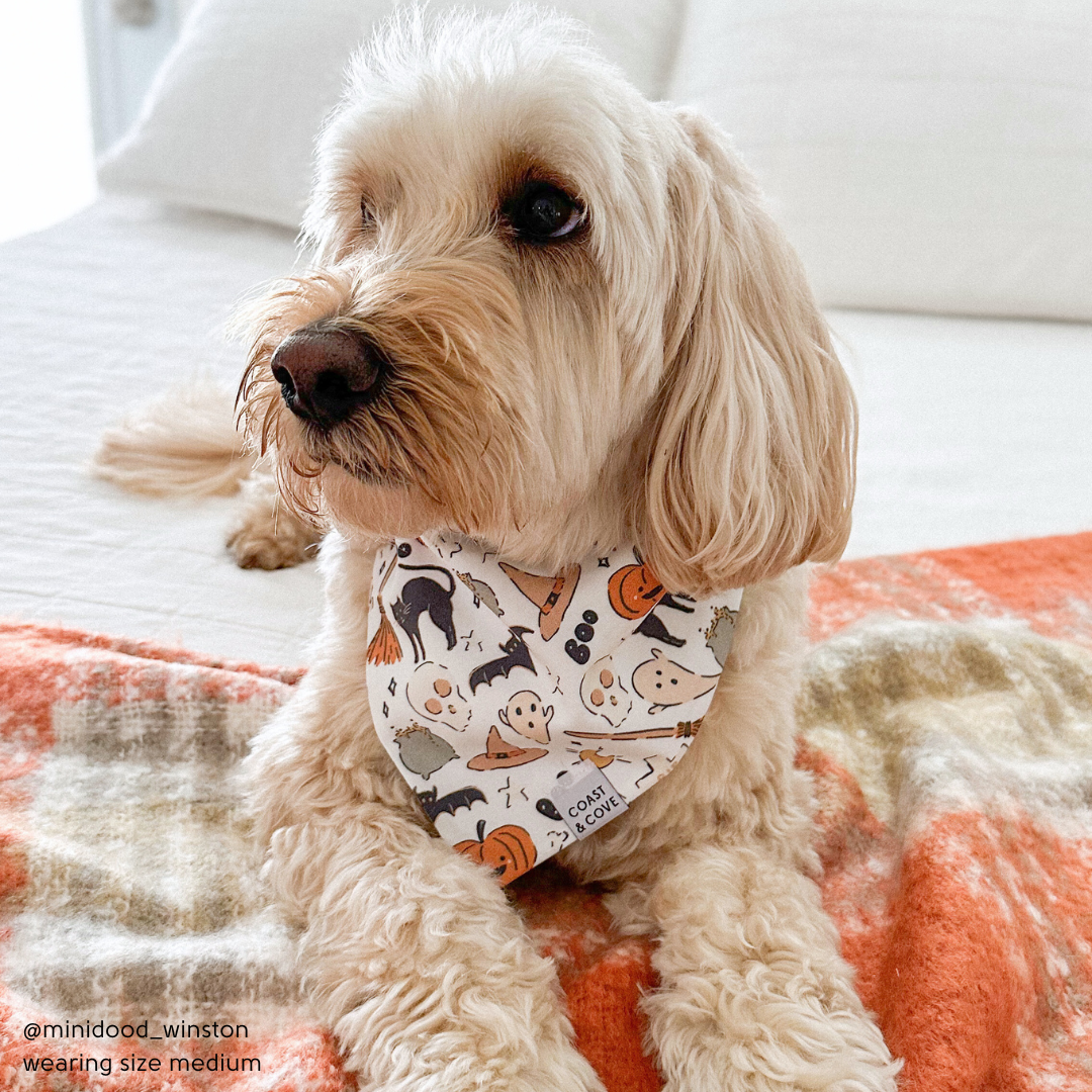 Spellbound Bandana