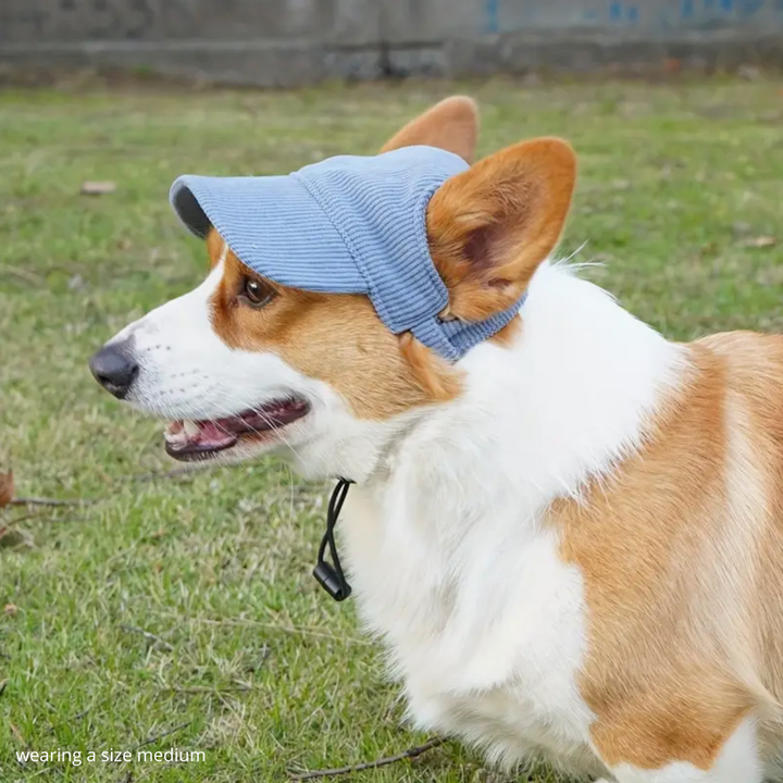 Baseball Hat for Dogs