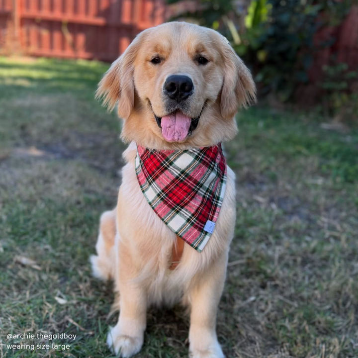 Christmas Morning Plaid Flannel Bandana