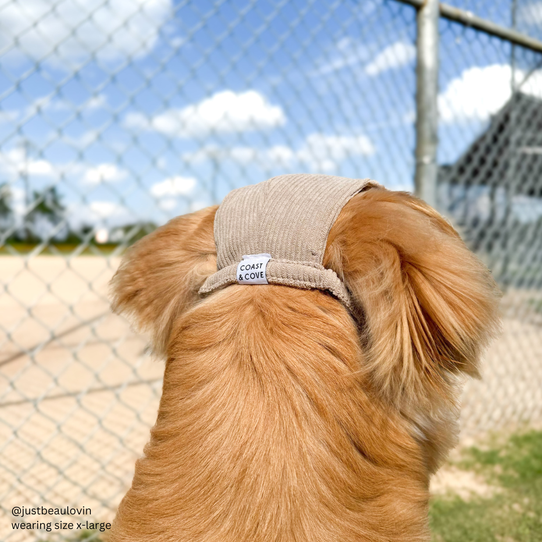 Baseball Hat for Dogs