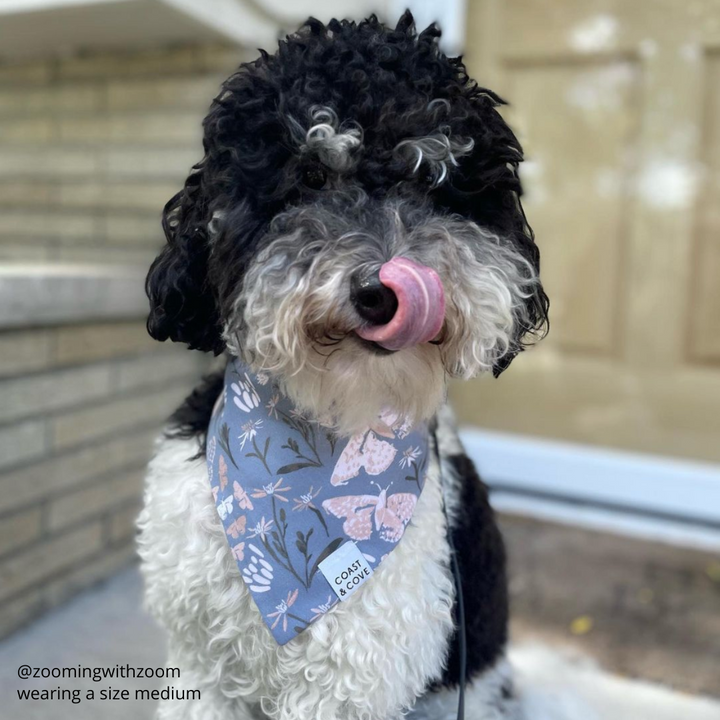 Autumn Nights Bandana