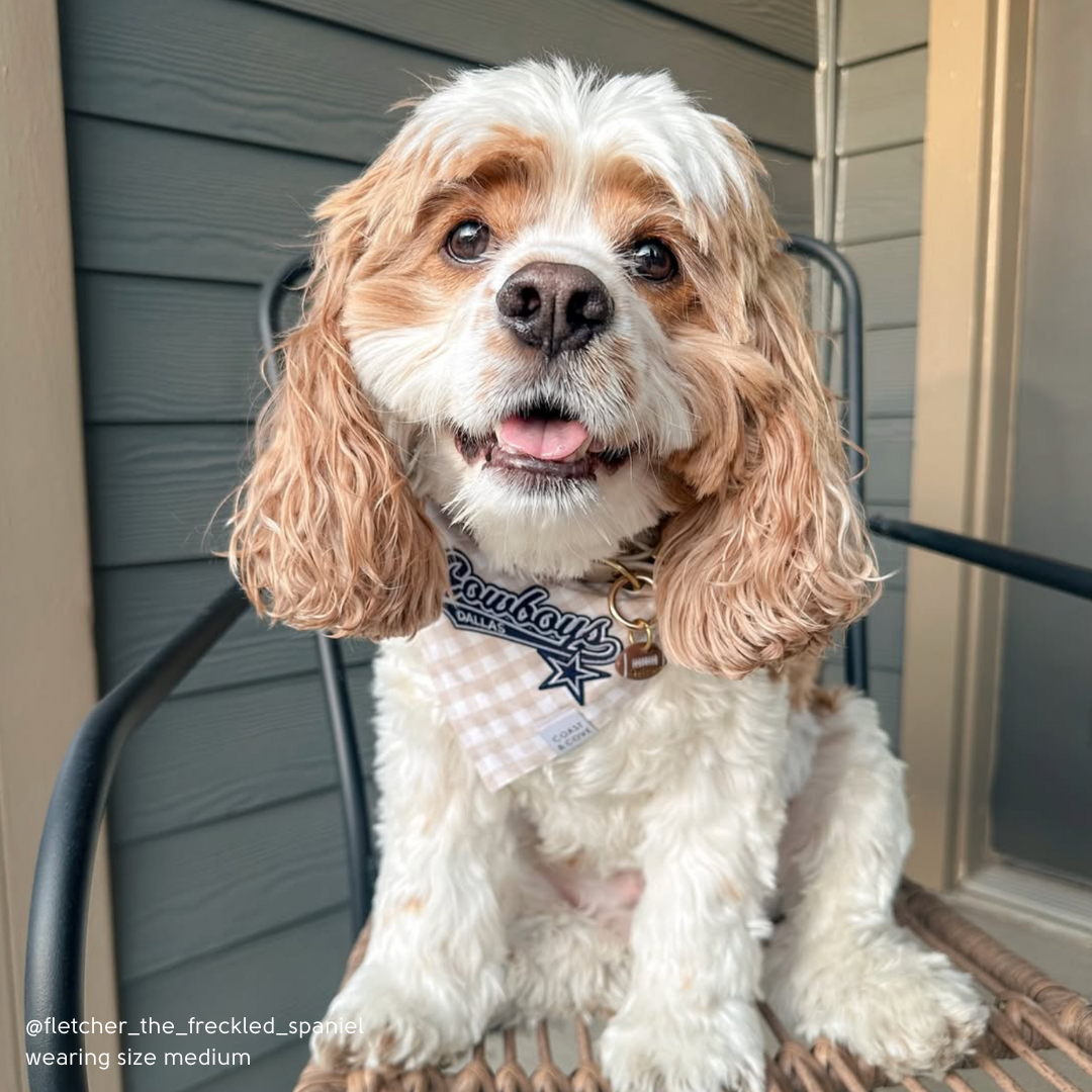 Your Team NFL Bandana [CUSTOM MADE TO ORDER]