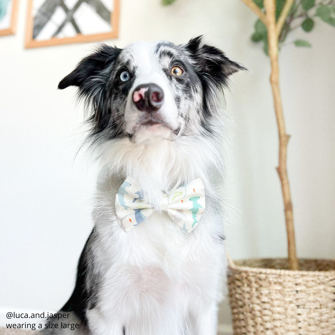 Deep Sea Bow Tie