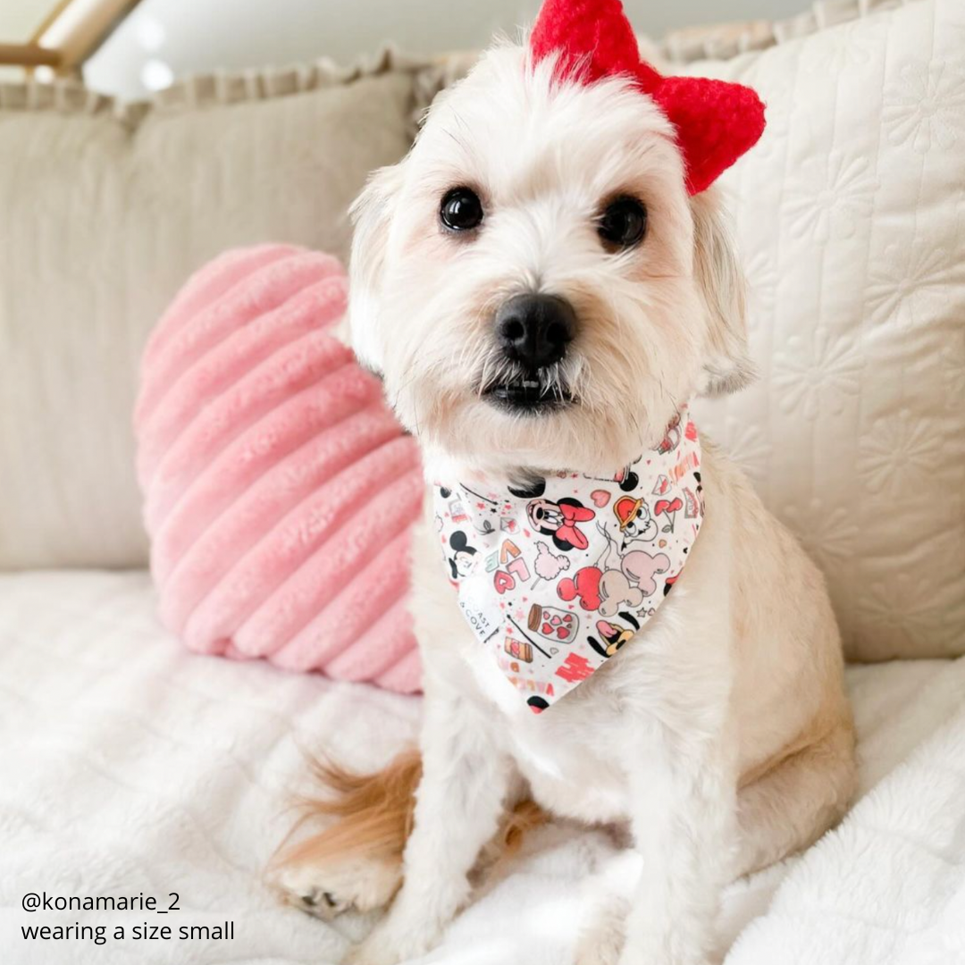 Happily Ever After Bandana