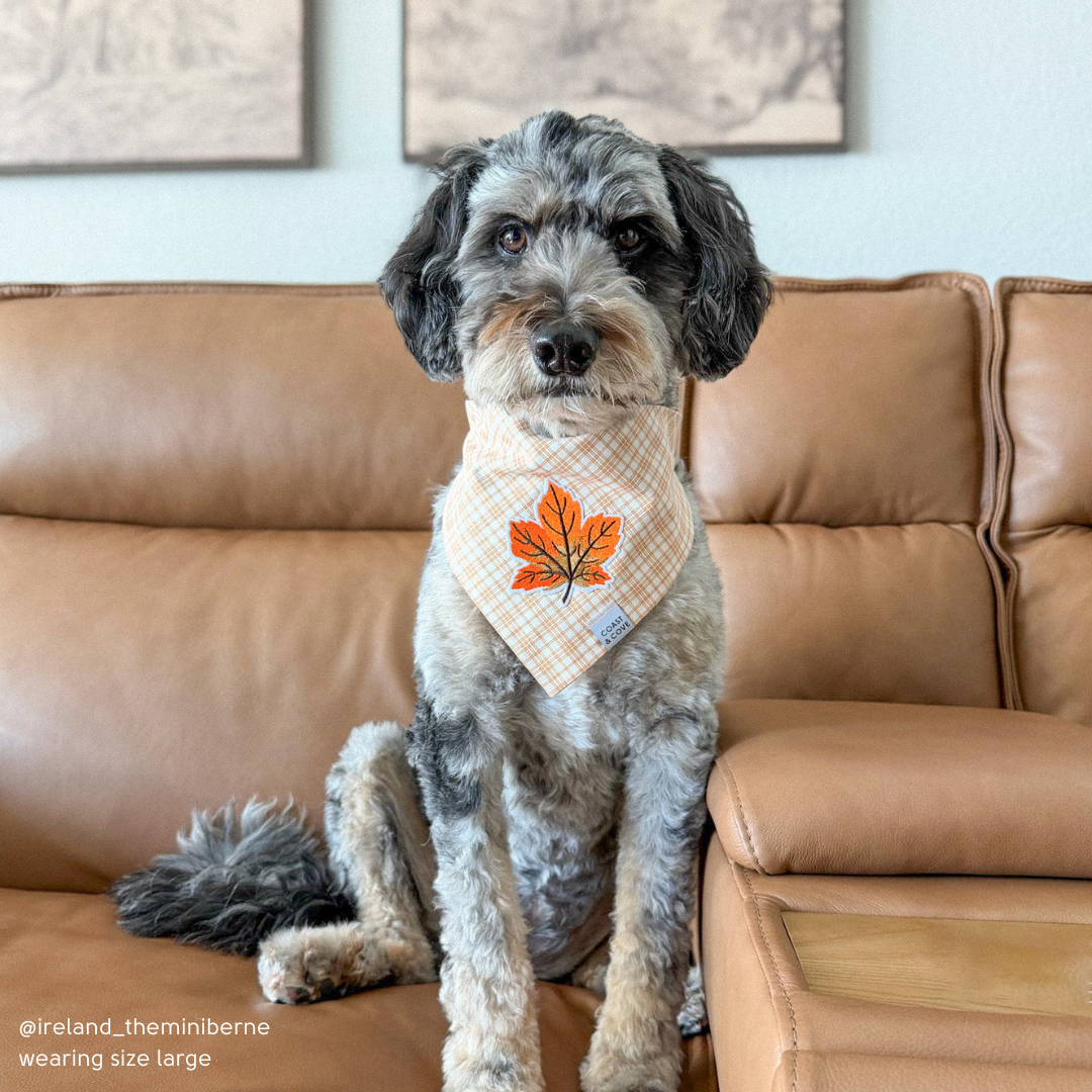 Maple Leaf Plaid Bandana