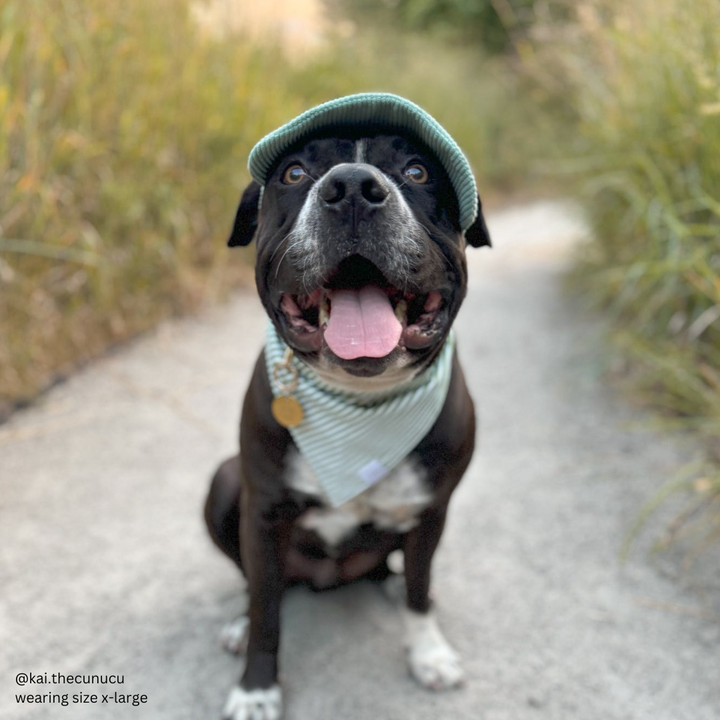 Baseball Hat for Dogs