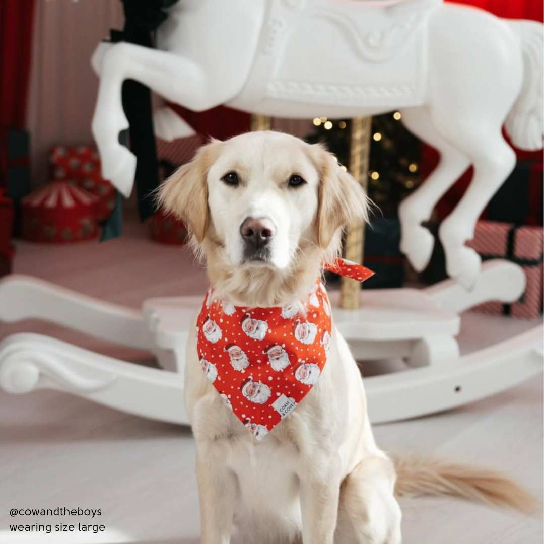 Holly Jolly St. Nick Bandana