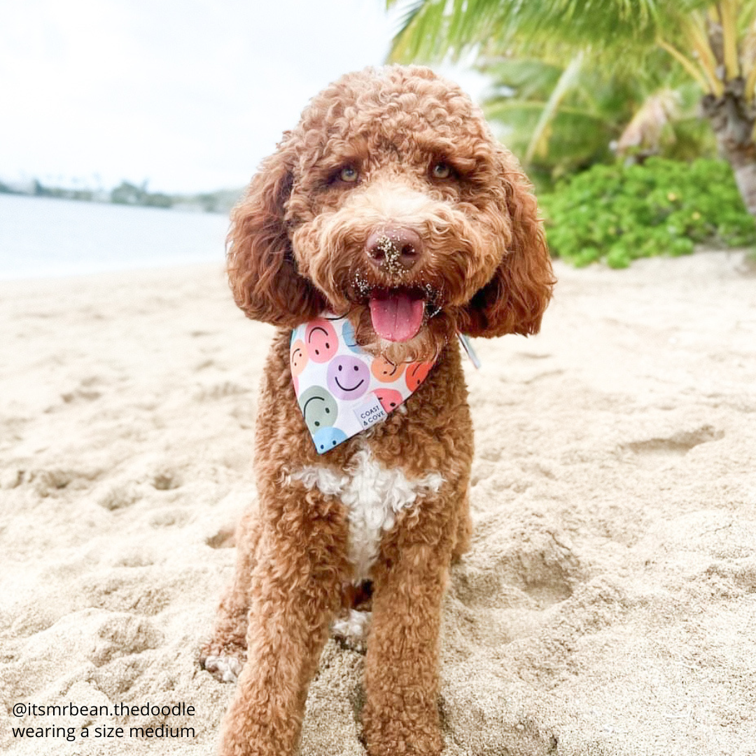 Rainbow Smiles Bandana